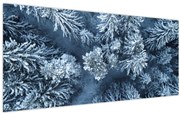 Obraz - Zasnežený les (120x50 cm)