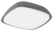 Rabalux 8797 - LED Vonkajšie stropné svietidlo AUSTIN LED/20W/230V IP65
