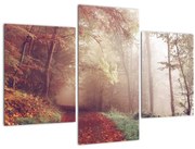 Obraz - Jesenná prechádzka lesom (90x60 cm)
