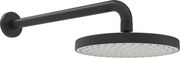 Hansa Basicjet hlavová sprcha , na stenu čierná 4436010033