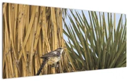 Obraz - Oriešok (120x50 cm)