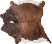 Koža z argentínskej kravy hnedá