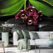 Fototapeta - Orchidea a kamene (147x102 cm)