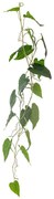Umelá kvetina (výška 117 cm) Anthurium – Bloomingville