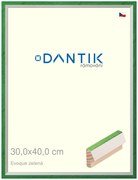 DANTIK rám na obraz 30x40 | EVOQUE zelená (Plexi Čiré)