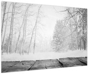 Obraz - Drevené mólo v zime (90x60 cm)