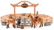 Faunica Jazdiareň s koňmi
