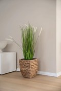 Kvetináč ASIA, vodný hyacint, výška 30 cm, natur