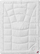 XXXLutz CELOROČNÁ PRIKRÝVKA, 140/200 cm, duté vlákno Hefel Textil - Prikrývky & vankúše - 004636001301