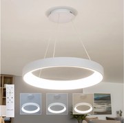 Brilagi - LED stmievateľný luster na lanku FALCON II LED/99W/230V priemer 60 cm biela + diaľkové ovládanie