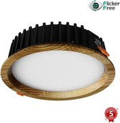 APLED - LED Podhľadové RONDO WOODLINE LED/12W/230V 4000K pr. 20 cm jaseň masív