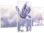 Obraz - Motýľ a levanduľa (90x60 cm)