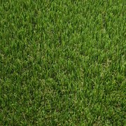 Umelá tráva BELLUNO