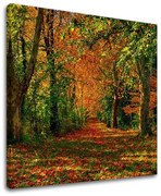 Obraz na stenu STROMY | rôzne rozmery