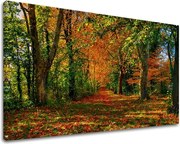 Obraz na stenu STROMY ST033E11