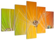 Obraz kvapiek na rastline (150x105 cm)