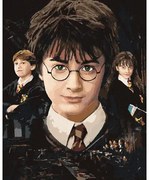Maľovanie podľa čísel na ráme Harry, Ron, Hermiona