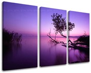 Obraz na stenu ZÁPAD SLNKA | rôzne rozmery