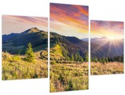 Obraz - Lesná krajina (90x60 cm)