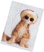 BedTex Detská deka Mačiatko Letná Elegancia, 150 x 200 cm