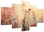 Obraz - Divoké kvety (150x105 cm)