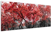 Obraz - Červené stromy, Central Park, New York (120x50 cm)