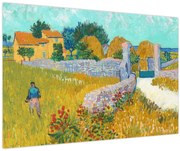 Obraz - Vincent van Gogh, Farmhouse in Provence, reprodukcia (90x60 cm)