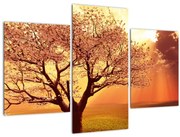 Obraz lúčov Boha (90x60 cm)