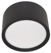 LED Stropné svietidlo PERCI LED/30W/230V IP40 4000K čierna