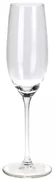 Sada pohárov na sekt Sparkle 210 ml, 4 ks