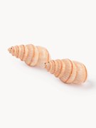 Ručne maľovaná soľnička a korenička Shell, 2 ks