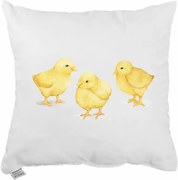 Dekoratívny vankúš Chicky 40x40 cm EMI