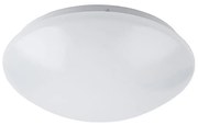 Rabalux 3436 - LED stropné svietidlo LUCAS LED/24W/230V