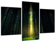 Obraz temného lesa (90x60 cm)