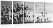 5-dielny obraz steblá trávy na poli v čiernobielom prevedení
