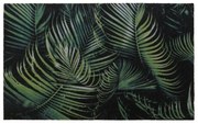 Rohožka 50x80 palma 31 01060103