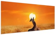 Obraz - Žirafy v národnom parku Serengeti (120x50 cm)