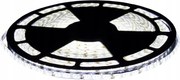 ECOLIGHT LED pásik - SMD 2835 - 1m - 4,8 W/m - IP20 - studená biela