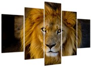 Obraz - Portrét leva (150x105 cm)