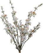 Zväzok vetvičiek JABLOŇ 80 cm, 3 ks