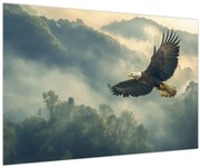 Obraz - Letiaci orol (90x60 cm)