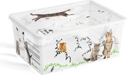 KIS C BOX 84080005098 Box 11 L, Style, Pets Collection