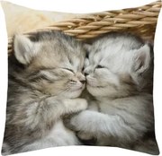 Dekoračný vankúšik Spiace mačiatka, 25x25 cm%