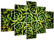 Obraz skalníc (150x105 cm)