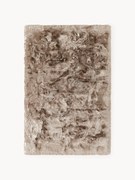 Lesklý koberec's vysokým vlasom Jimmy