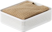 Rotho Úložný box do zásuvky, šatníkový organizér LISORA EXTRA LARGE, 31 x 25,8 x 10 cm