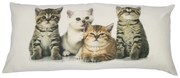 Biely podlhovastý vankúš s mačiatkami - 40 * 90 * 15cm