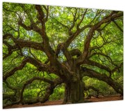Obraz - Zelený strom (70x50 cm)