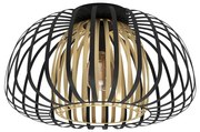 Eglo 99664 - Stropné svietidlo ENCINITOS 1xE27/40W/230V