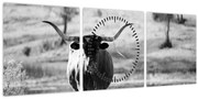 Obraz - Krava, čiernobiela (s hodinami) (90x30 cm)